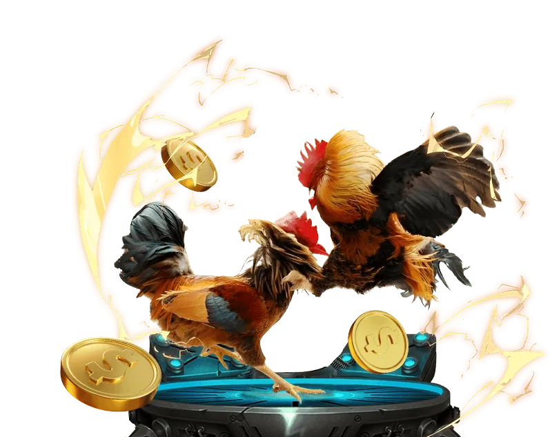 Ưu đãi hoàn trả đá gà hàng tuần tại W88VT.com